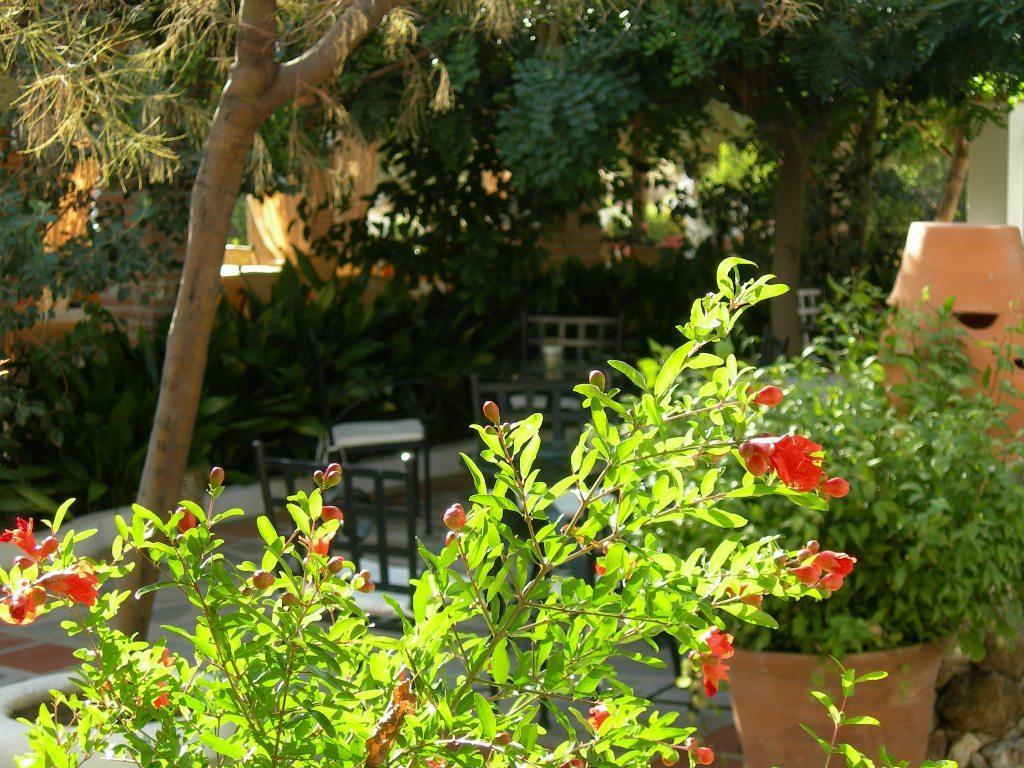 Hotel Alcadima Lanjarón Εξωτερικό φωτογραφία